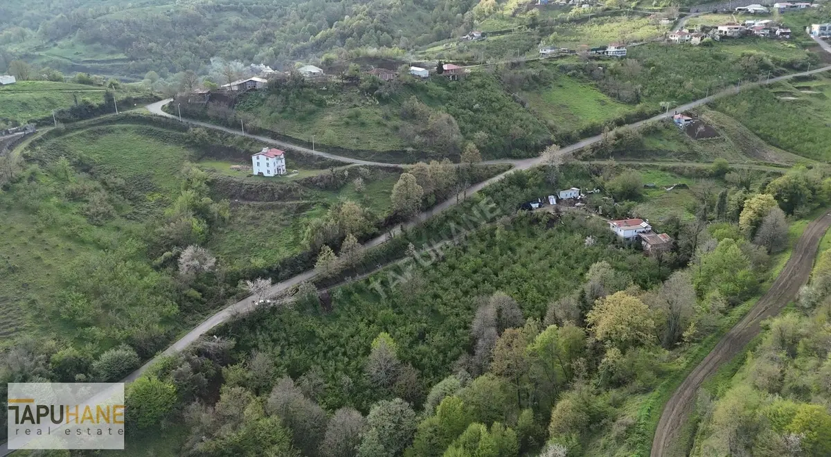 Tapuhane'den Muradiye'de 3 Dönüm İmarlı Satılık Arsa - 30