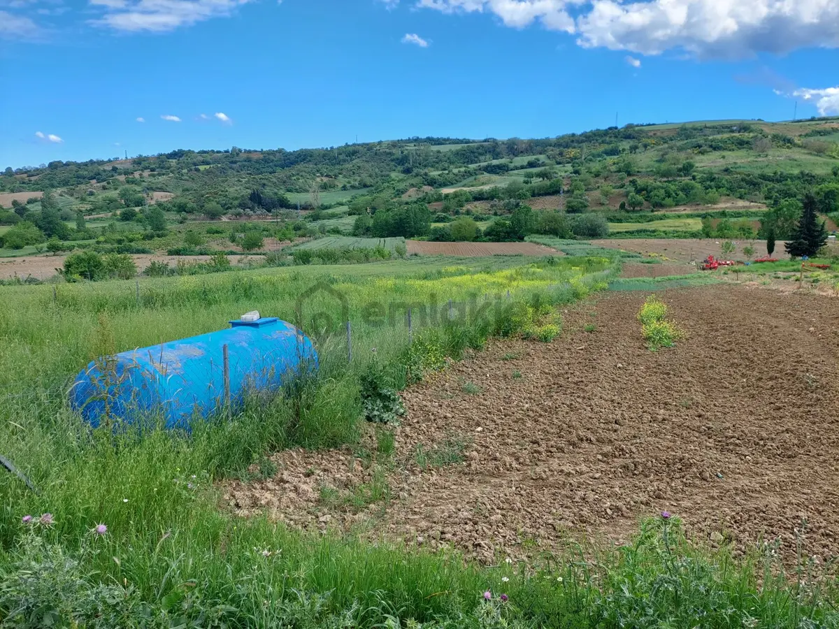 Çanakçıda Satılık Bahçe - 23