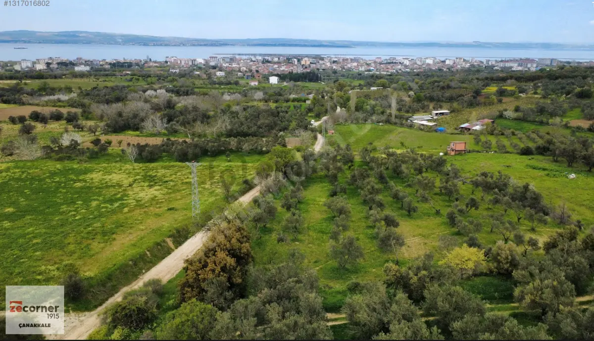 Çanakkale Lapseki Çardak'ta Satılık 3490 M2 Bağ - 2