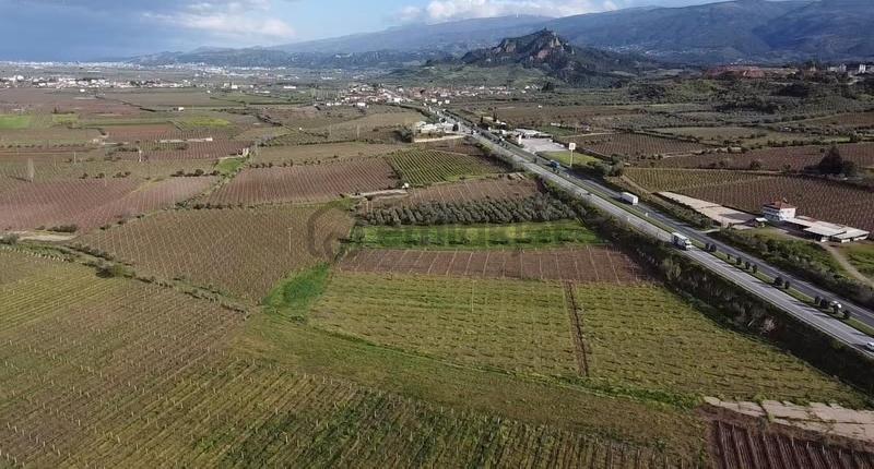 Ankara Asfaltına Cepheli 11180 M2 Zeytinlik - 19