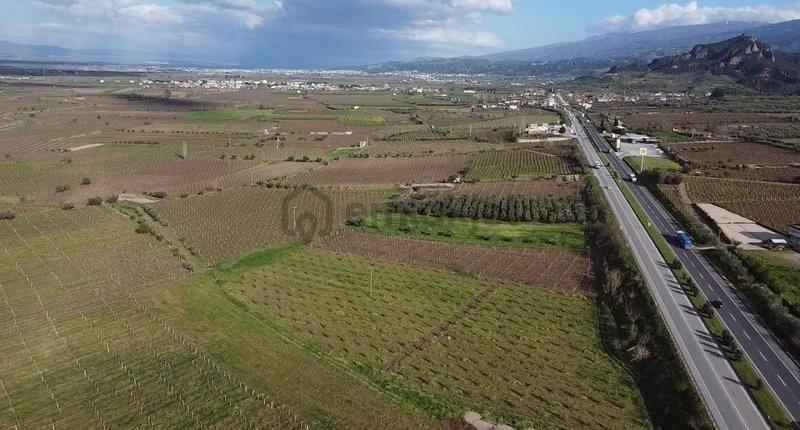 Ankara Asfaltına Cepheli 11180 M2 Zeytinlik - 12
