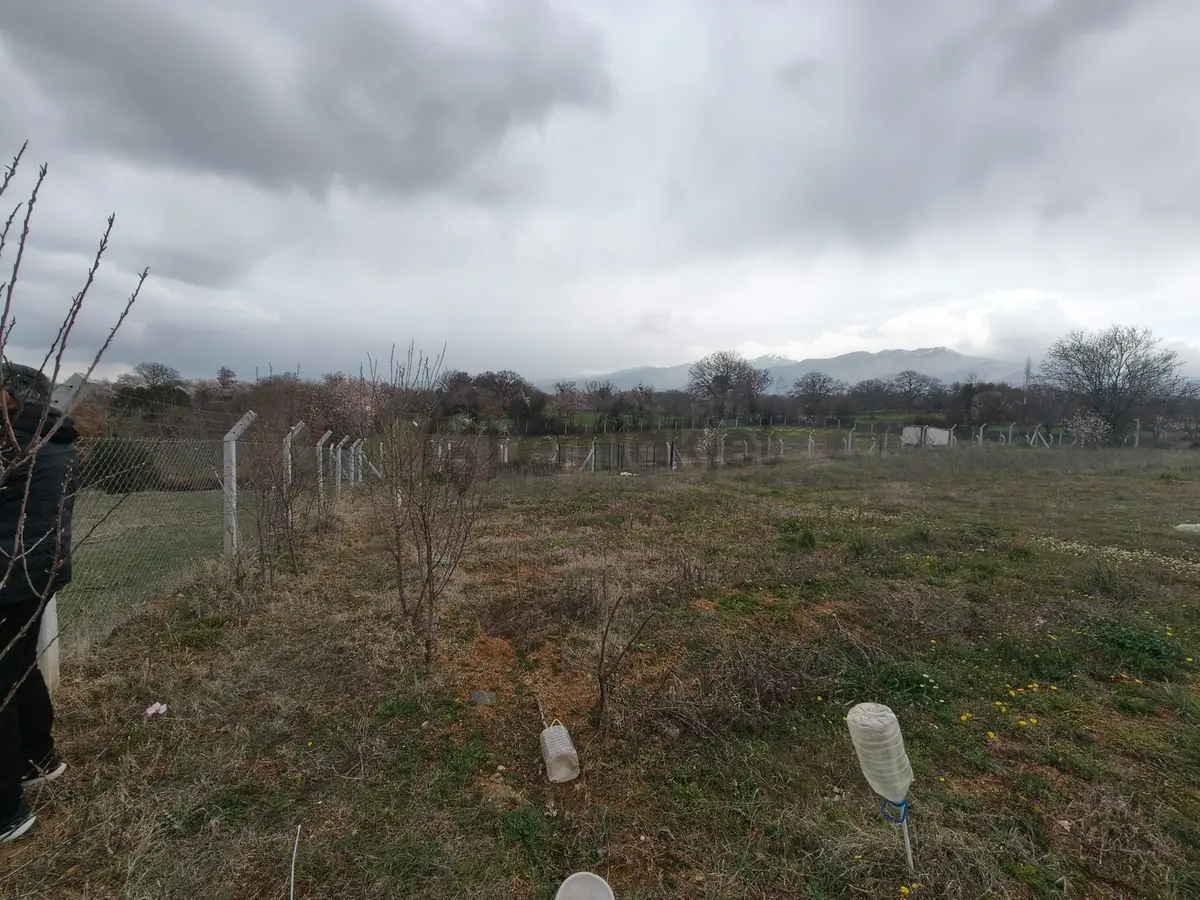 Fiyat Düştü Tavas Vakıf Da Satılık Tarla - 32