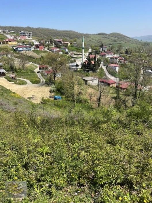 Ekipten Aşağı Avdanda 2043 M2 Tarla - 6