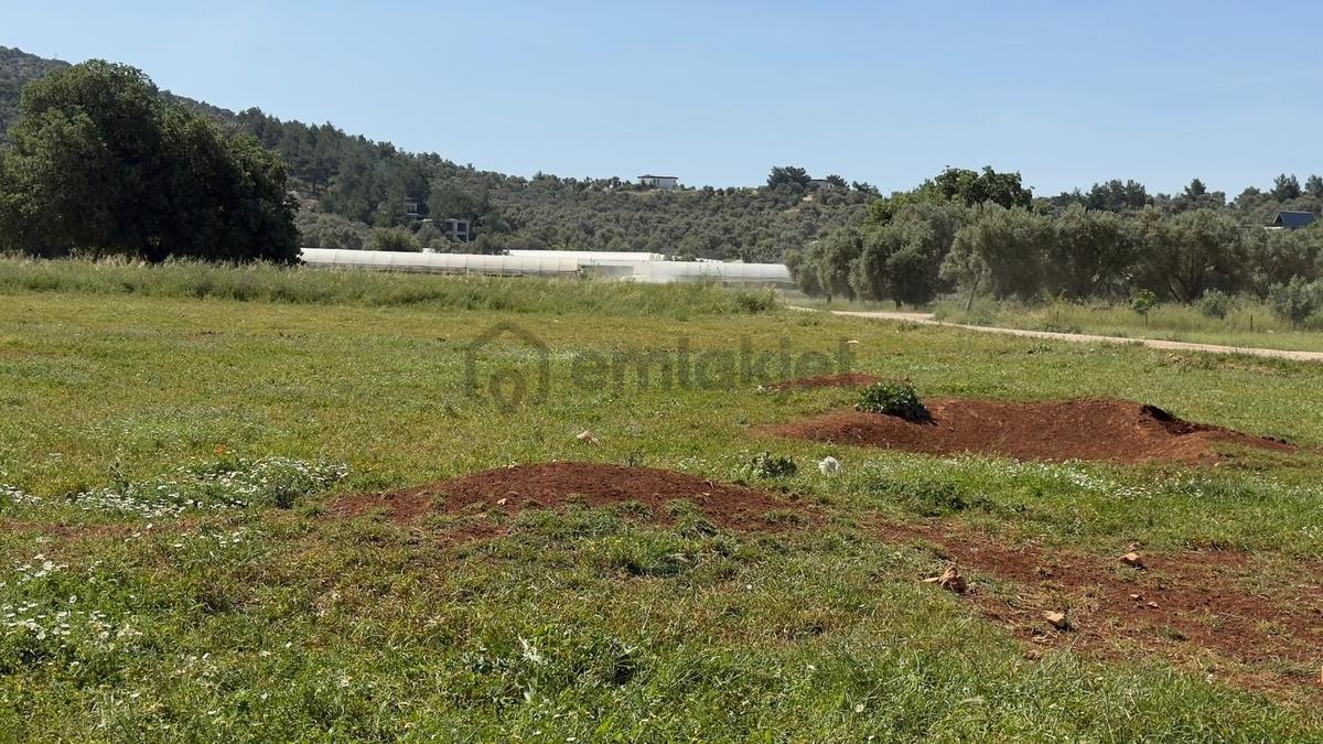 Falcon Dan Çavdır Da Fırsat 1300m² Arsa - 11