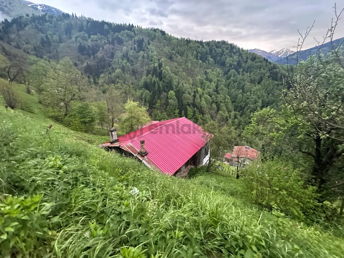Trabzon Çaykara'da Satılık Müstakil Ev - 21