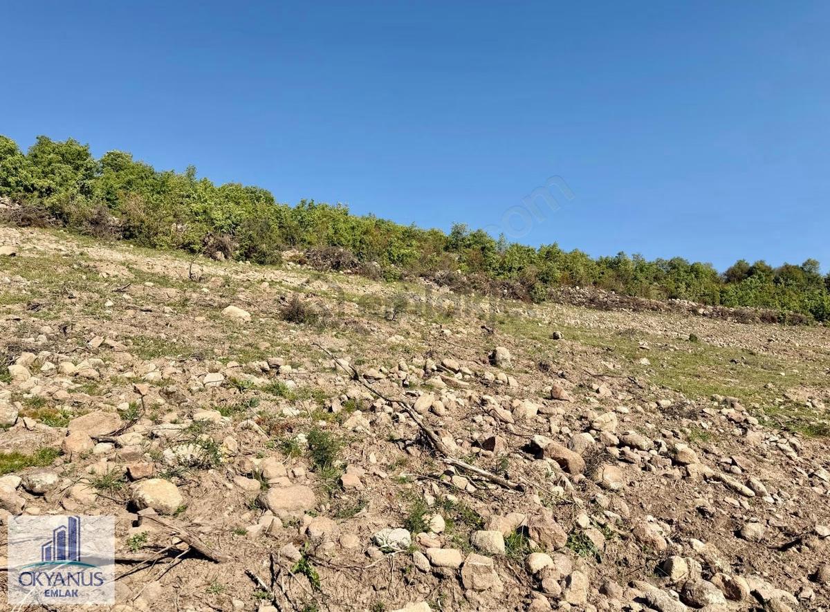 Recepli De 4.200 M2 , Tek Tapu , Köye Yakın - 9