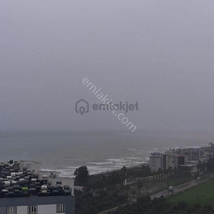 Tece'de Ful Deniz Manzaralı 3 Cepeli - 14