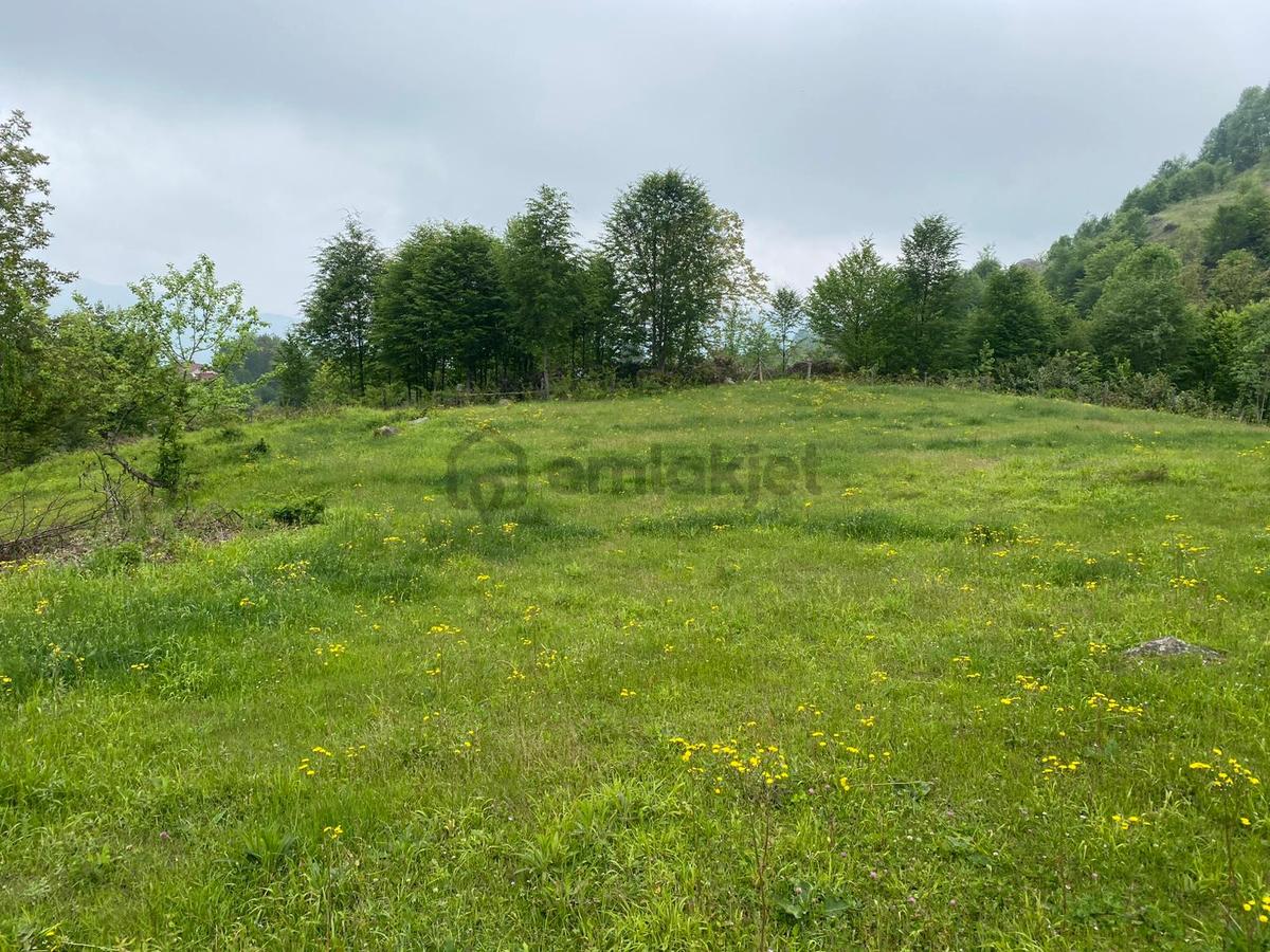 Fırsat ! Satılık 3.500 M2 Tarla Sakarya / Hendek - 19