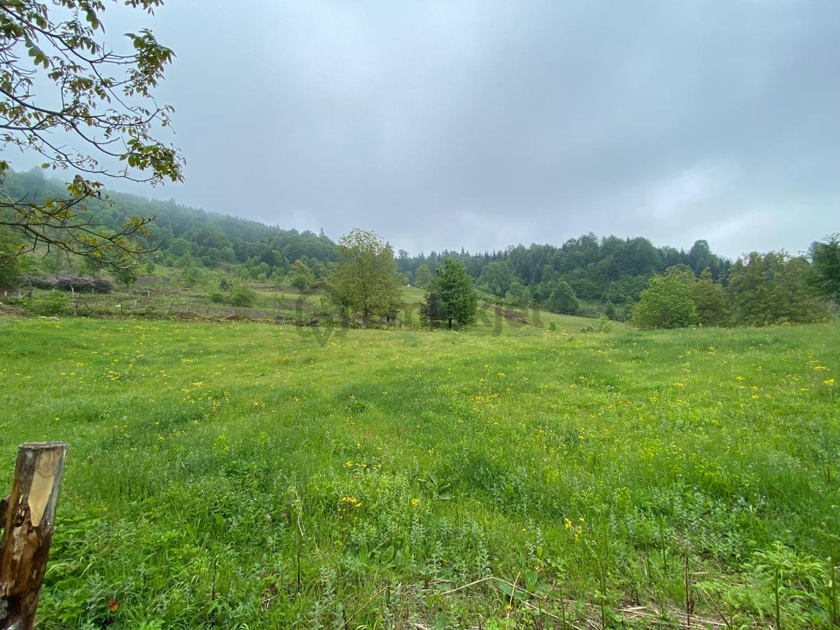 Fırsat ! Satılık 3.500 M2 Tarla Sakarya / Hendek - 17
