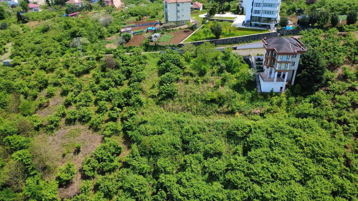 Trabzon'da Satılık Arazi - 10