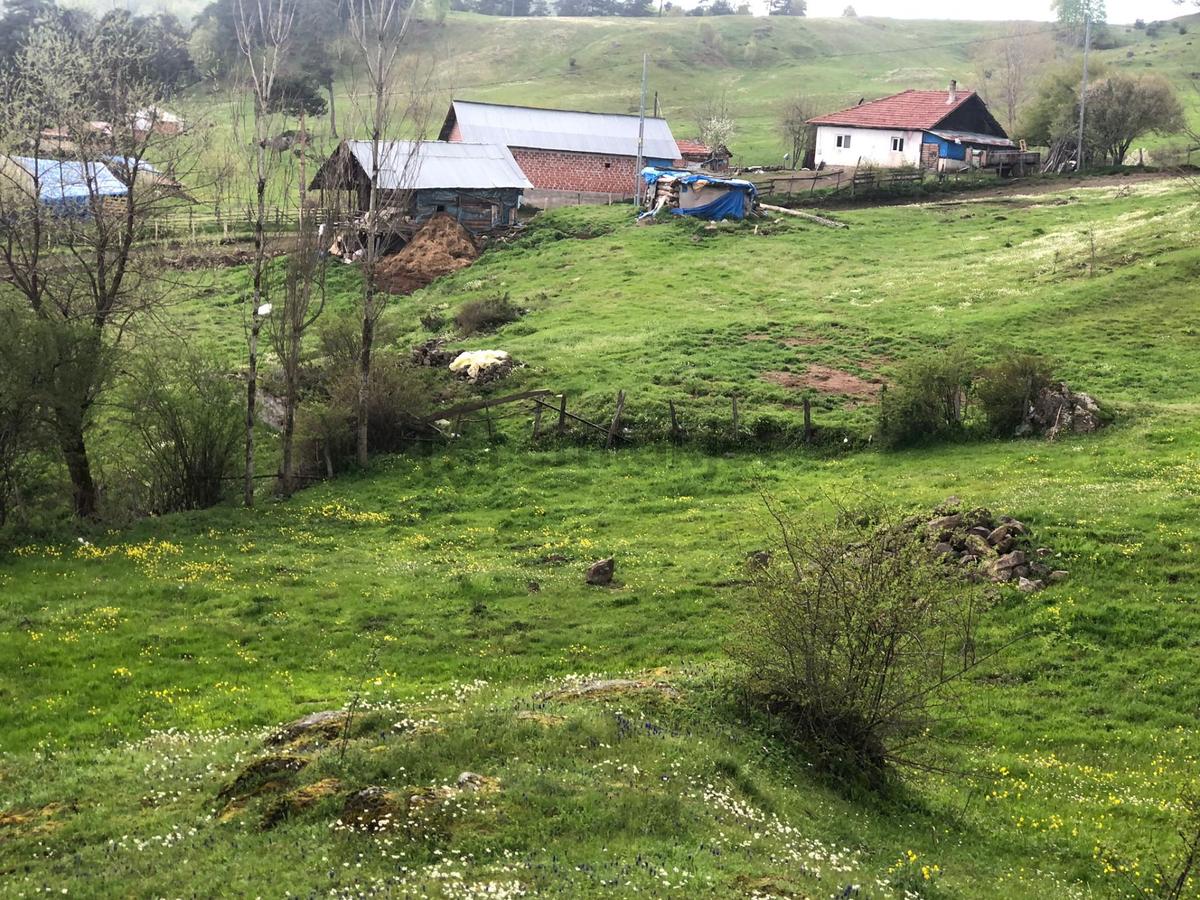 Ulusulukta Harika Konumda 6000 M2 Satılık Tarla - 4