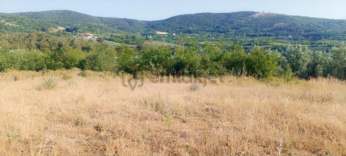 Bursa İznik Çamdibinde Satılık Göl Manzaralı Tarla - 31