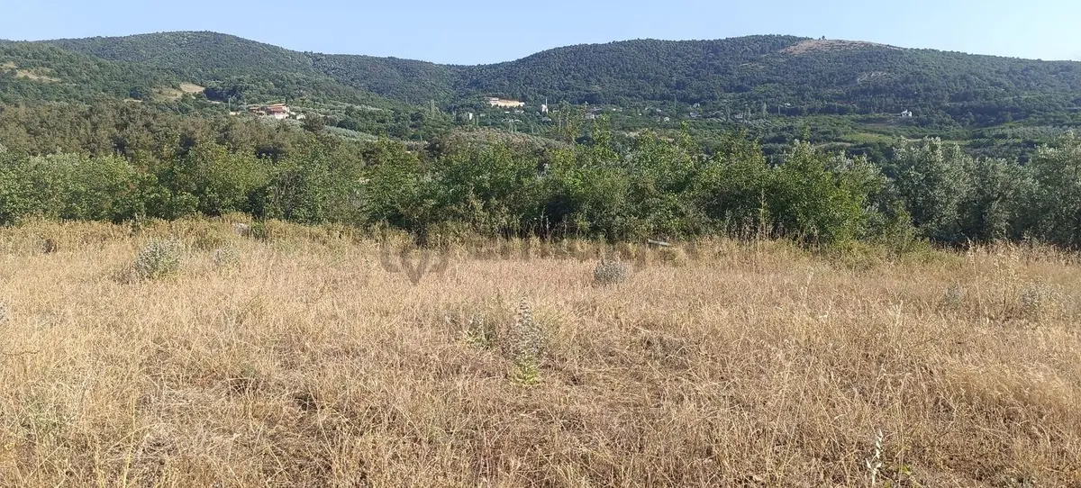 Bursa İznik Çamdibinde Satılık Göl Manzaralı Tarla - 19