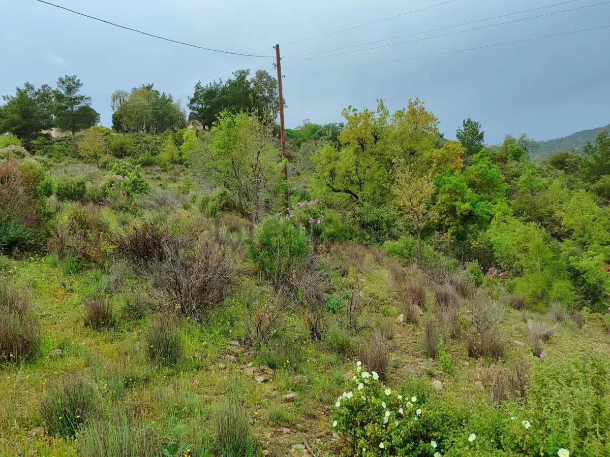 Mersin Anamur Melleç Satılık Tarla - 3