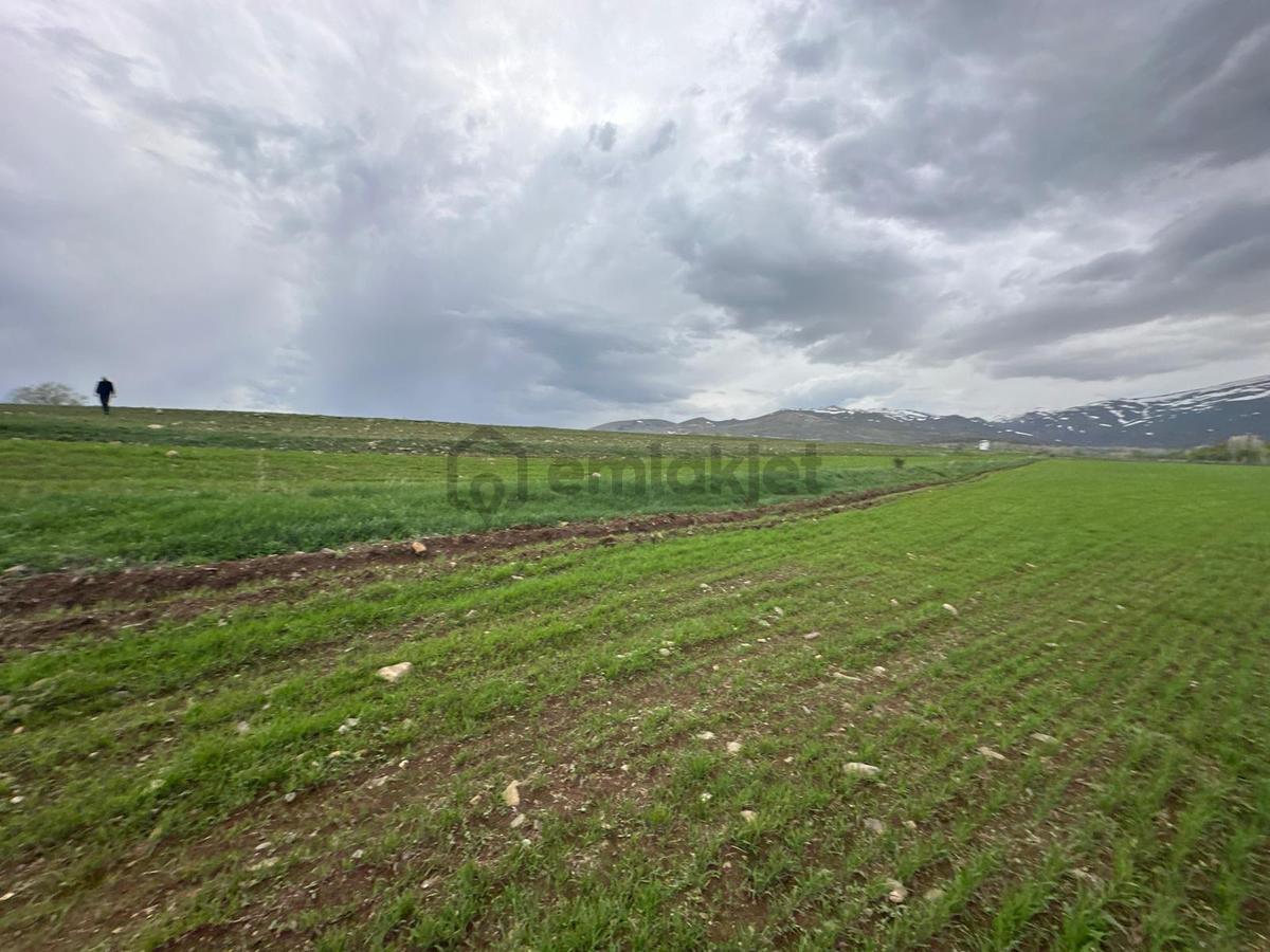 Bayburt Aydıntepe'de Satılık Tarla - 27