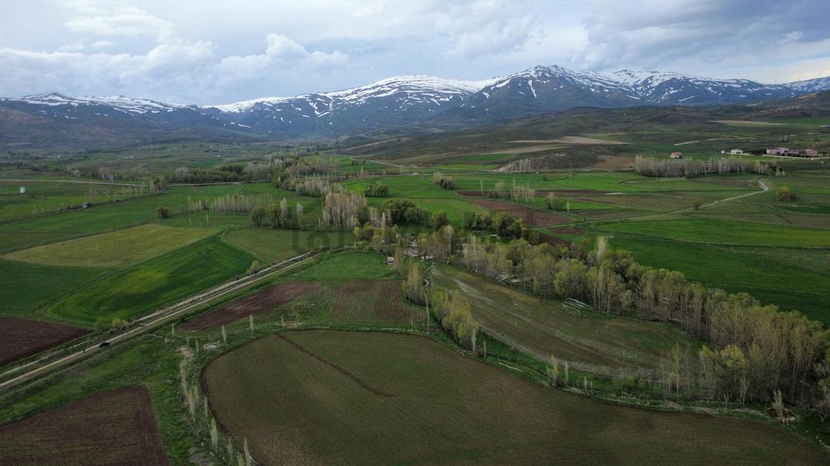 Bayburt Aydıntepe'de Satılık Tarla - 30