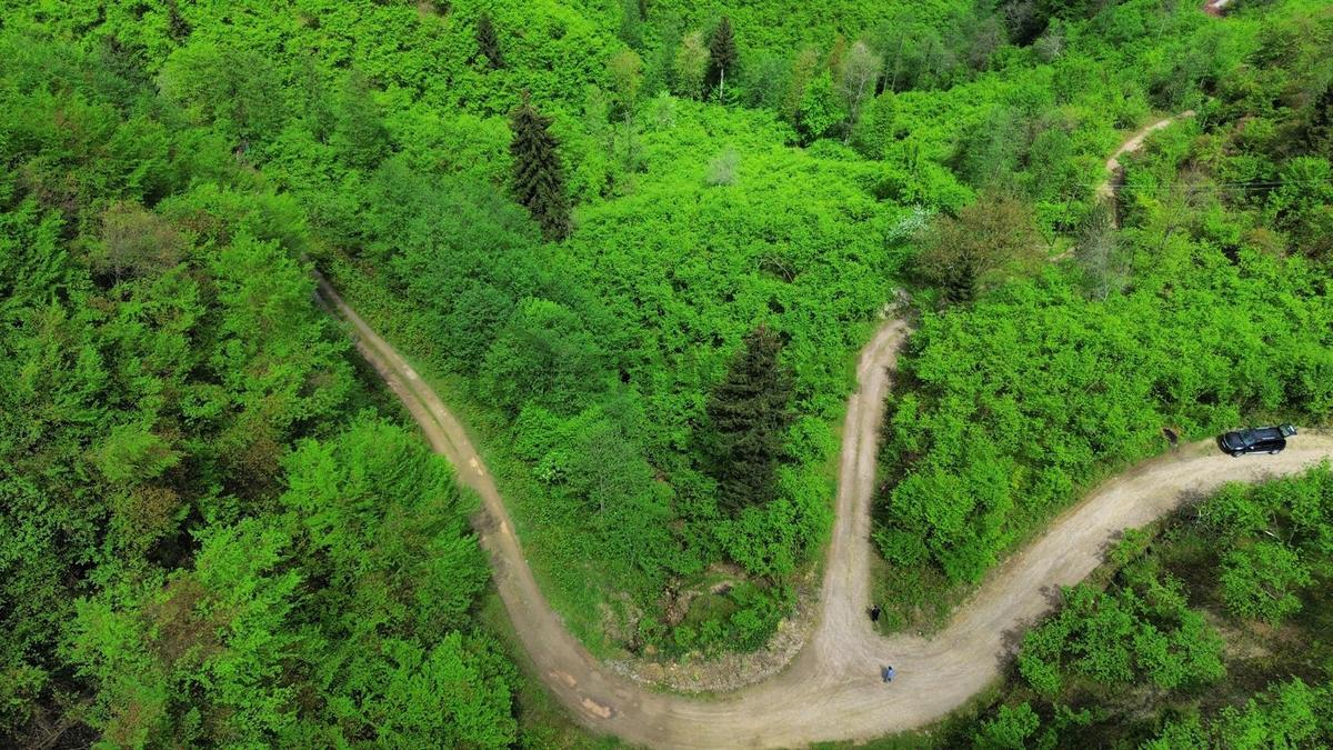 Trabzon Arsin'de Satılık Arazi - 10