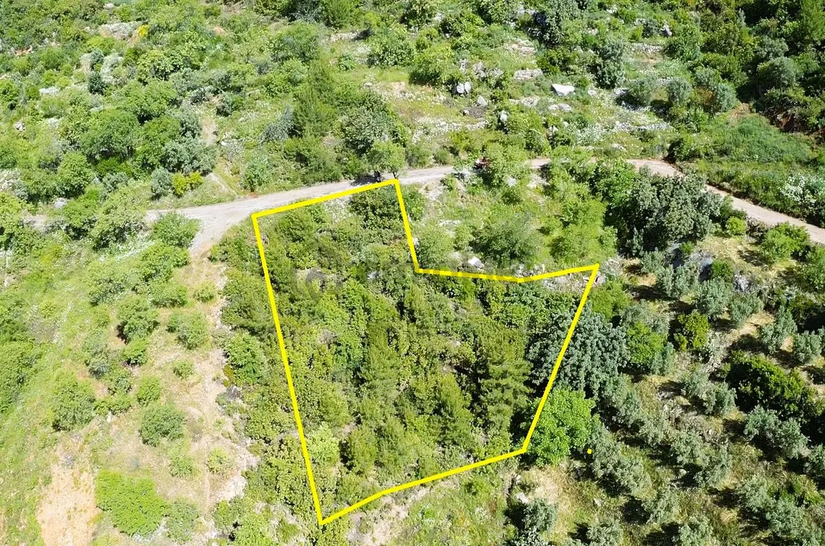 Alanya Yenice De 1.070 M2 Satılık Tarla - 5