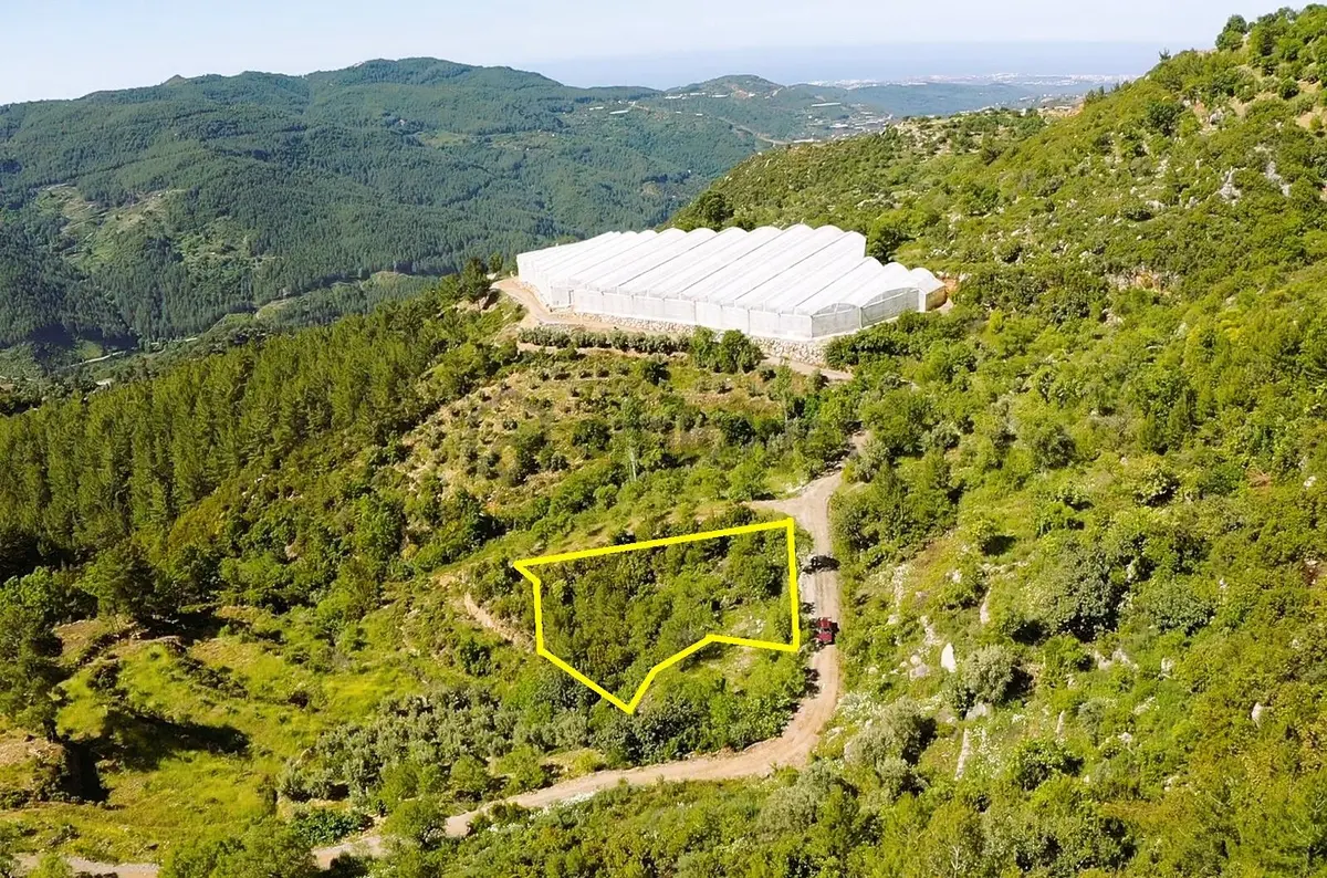 Alanya Yenice De 1.070 M2 Satılık Tarla - 11