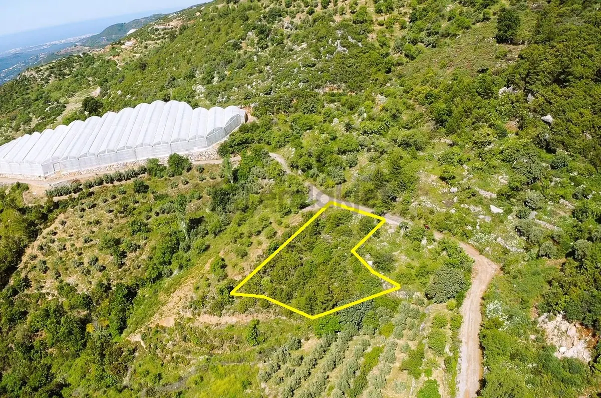 Alanya Yenice De 1.070 M2 Satılık Tarla - 9