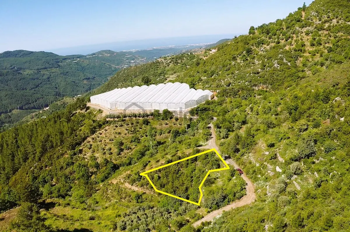 Alanya Yenice De 1.070 M2 Satılık Tarla - 10