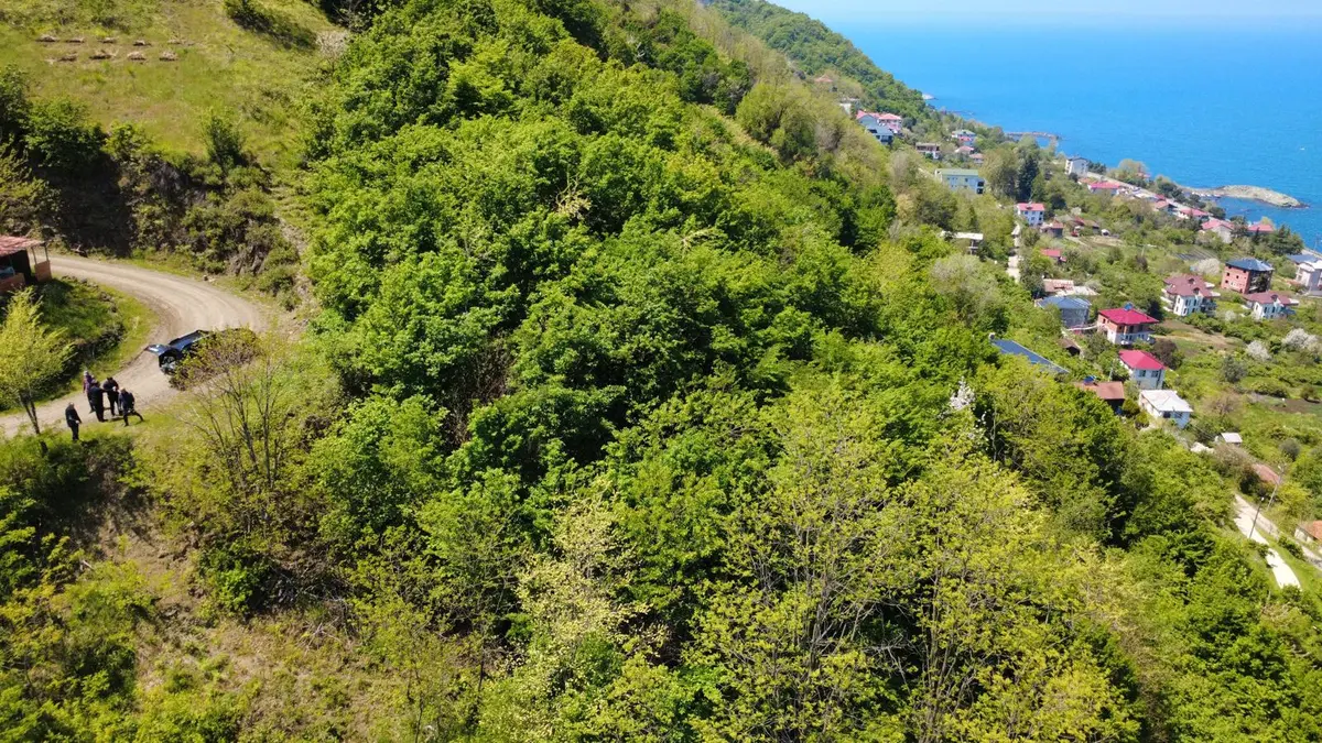 Trabzon Akçaabat'ta Satılık Arazi - 8