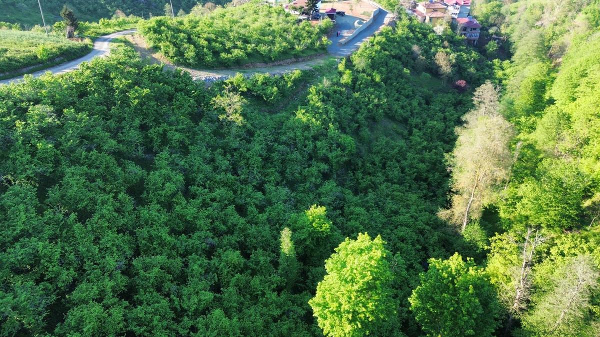 Trabzon'da Satılık Arsa - 22