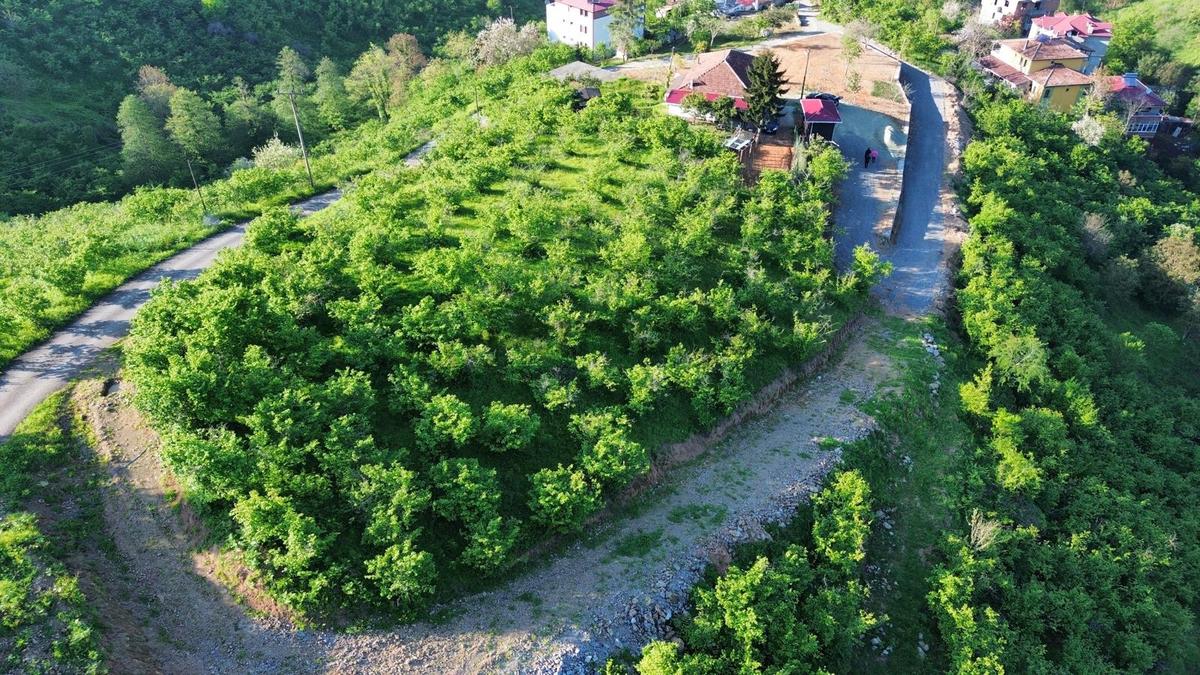 Trabzon'da Satılık Arsa - 20