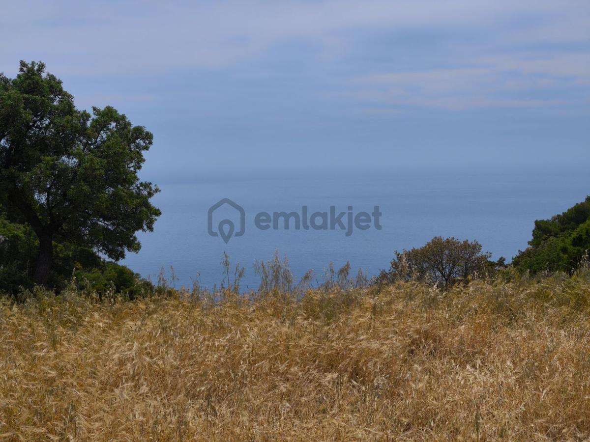 Fethiye Seydikemer Yediburunlar Satılık Tarla - 18