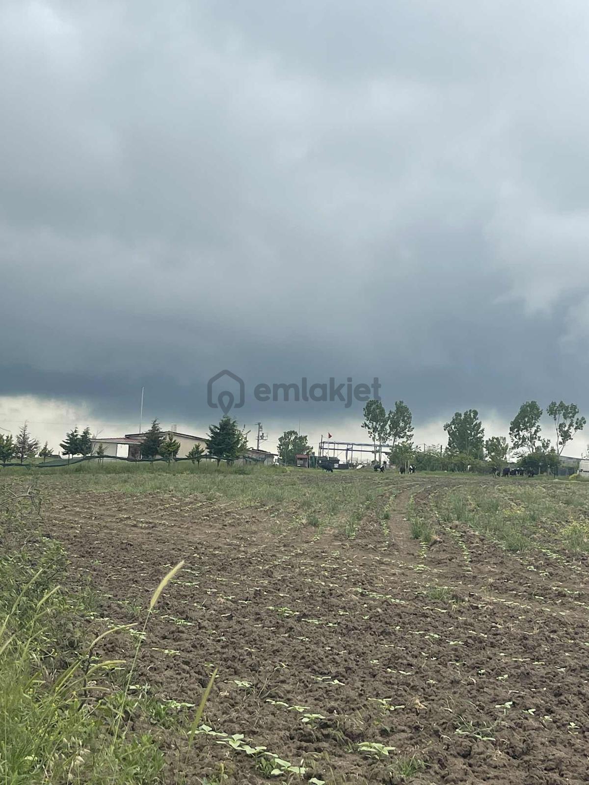 Delfa Yapı İnşaat Tan Kızılpınar Da 7.118m2 İmara Yakın - 7