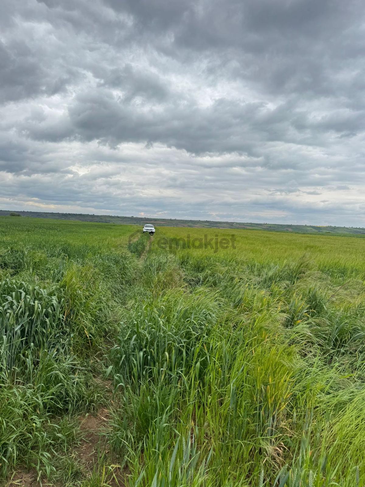 Dokuzhöyük'de Satılık 5.100 M2 Tarla - 9