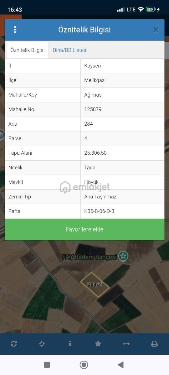 Pratik Den// Lale De 25 Dönüm Yatak Gibi Tarla - 2