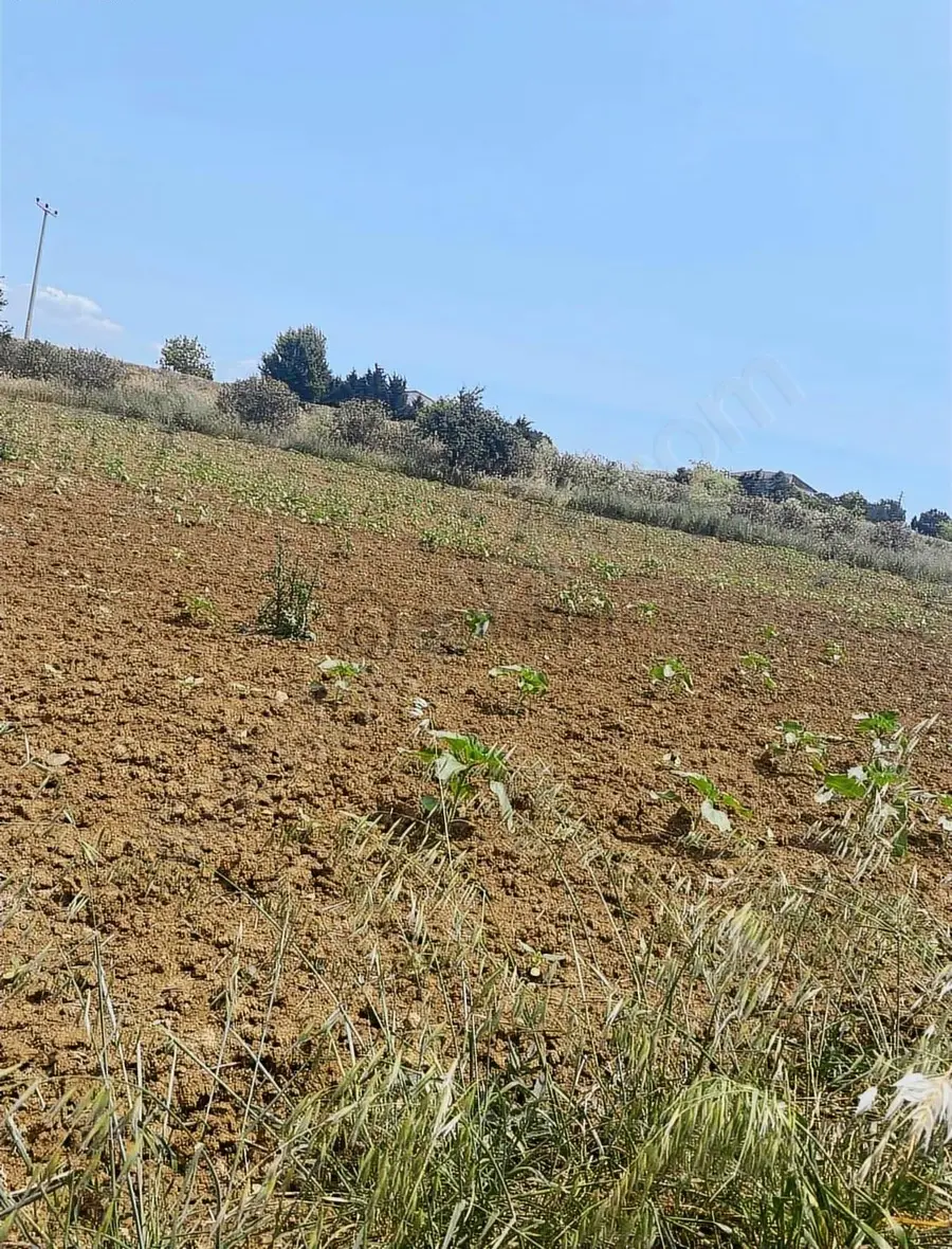 Çorlu Seymen Ana Cadde Üstünde Satılık 230 M2 Parsel - 9
