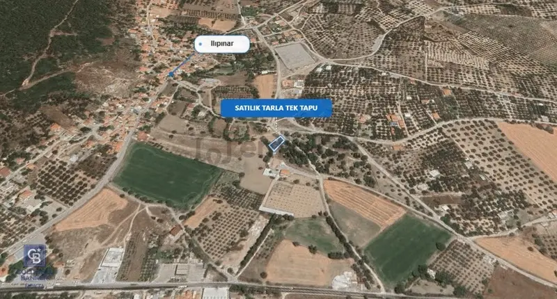 Foça Ilıpınar'da Satılık Müstakil Tapulu Tarla - 27
