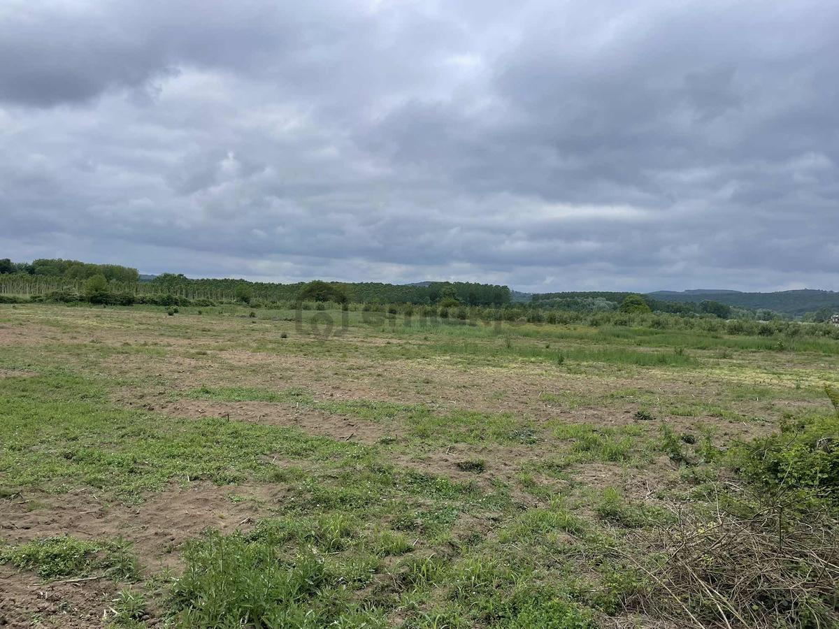 Hendek'te 12.232m2 Resmi Yollu Arsa - 7