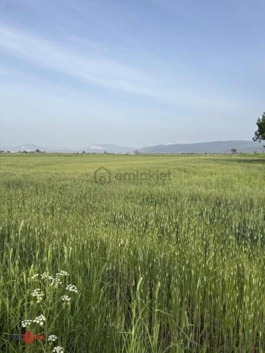 Satılık Tarla (detay Açıklamada) - 4