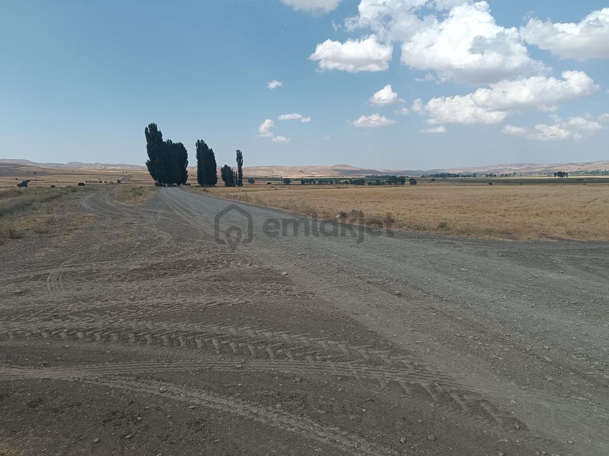 Sahibinden Satılık 12 Dönüm Tarla - 3