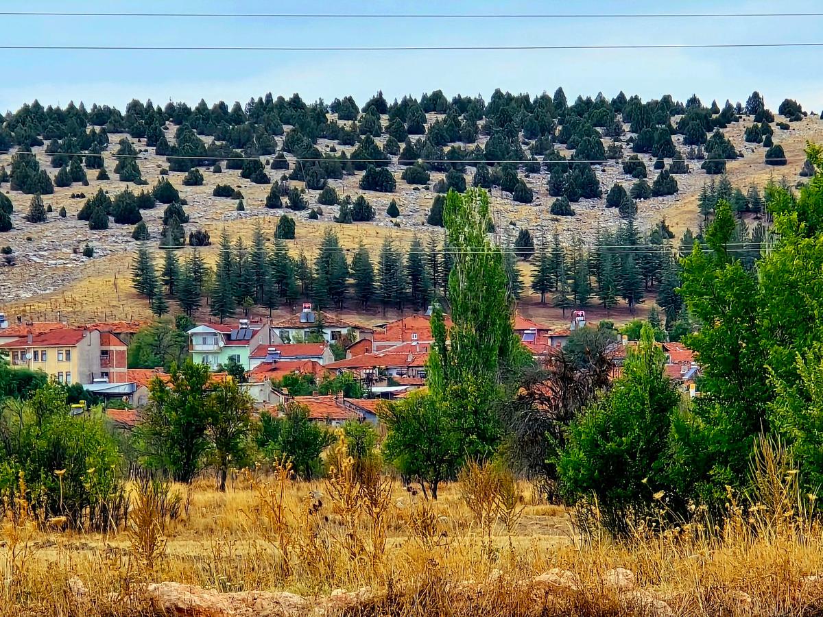 Kütahya Emet Örencik'te Köy Otoyol Elk Su Çay Yanı 1463 M² Bakımlı Tarla. Açıklamada - 25