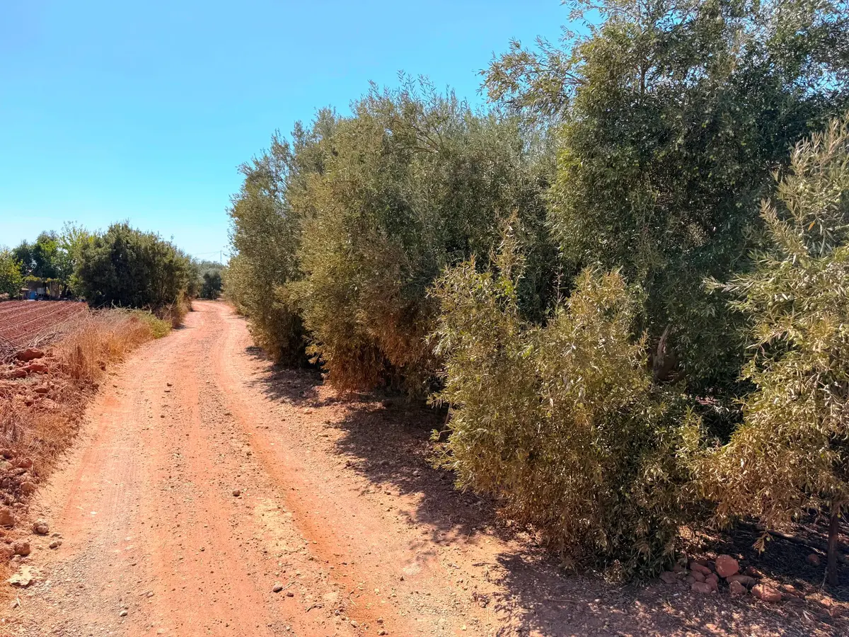 Antalya Havalimanı Yakını 318m2 İmarlı Problemsiz Satılık Arsa - 3