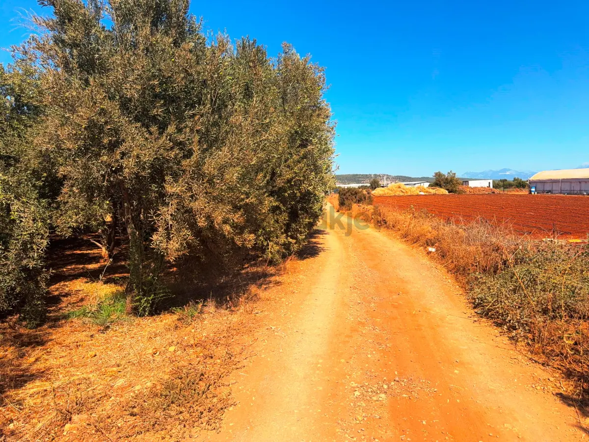 Antalya Havalimanı Yakını 318m2 İmarlı Problemsiz Satılık Arsa - 20