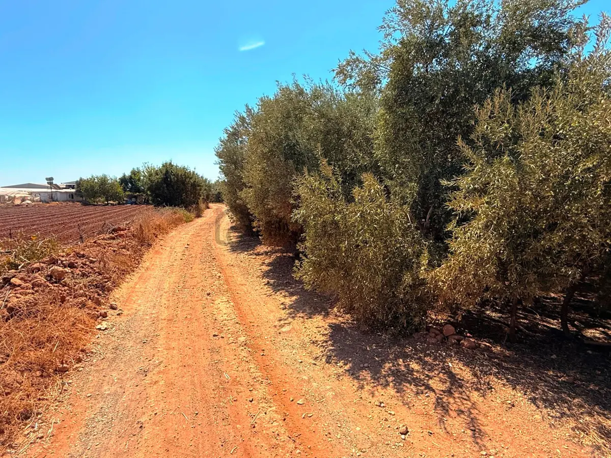 Antalya Havalimanı Yakını 318m2 İmarlı Problemsiz Satılık Arsa - 17