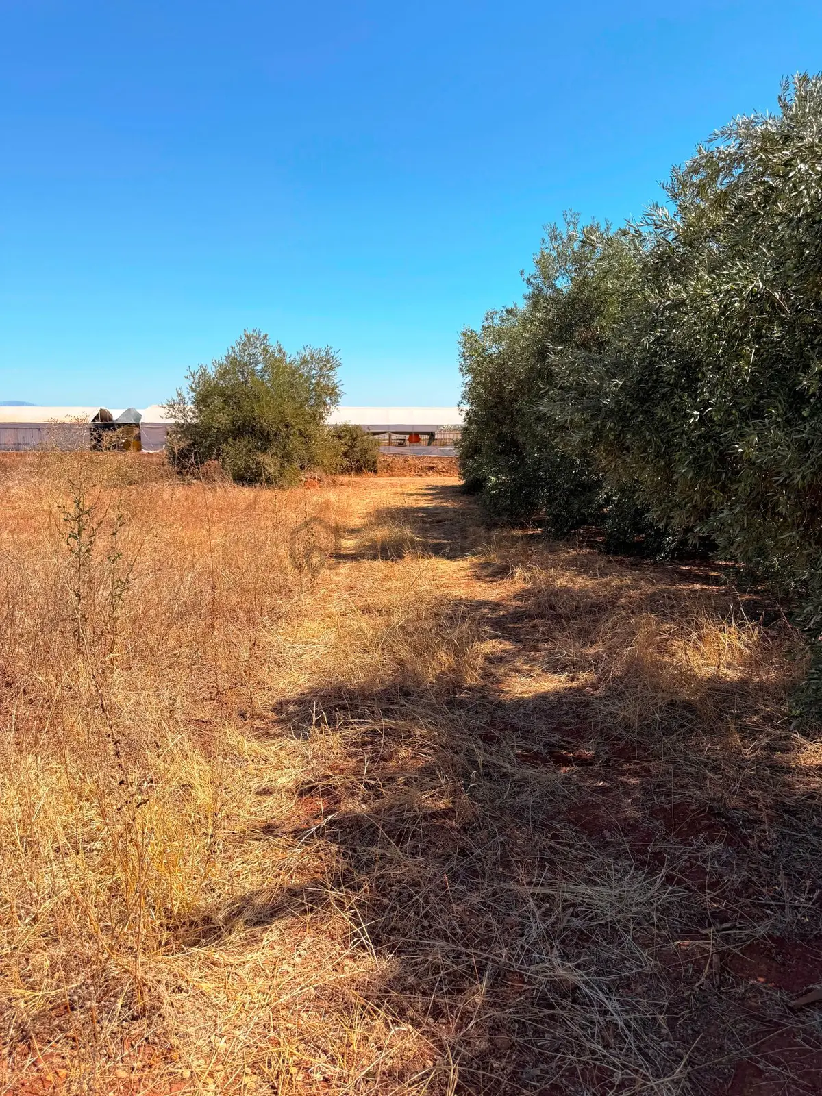 Antalya Havalimanı Yakını 318m2 İmarlı Problemsiz Satılık Arsa - 8
