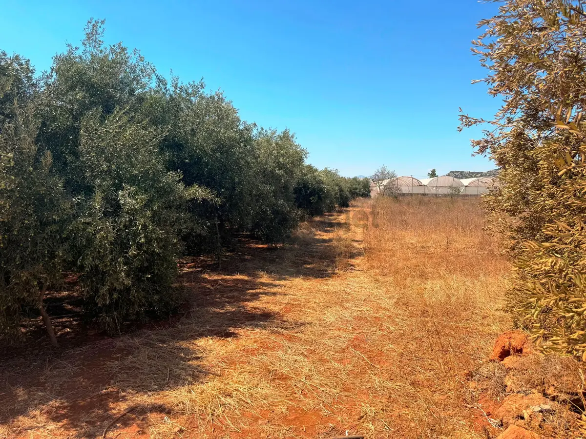Antalya Havalimanı Yakını 318m2 İmarlı Problemsiz Satılık Arsa - 16