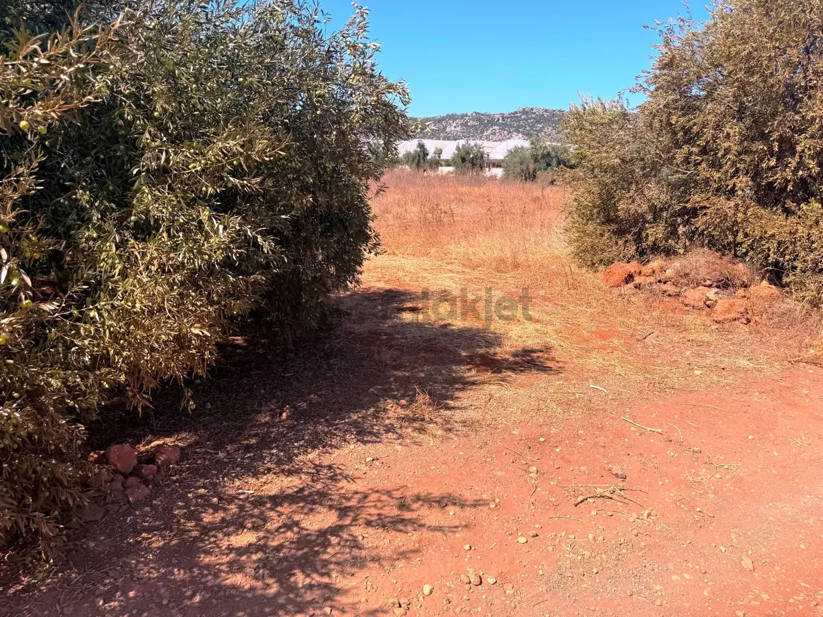 Antalya Havalimanı Yakını 318m2 İmarlı Problemsiz Satılık Arsa - 23
