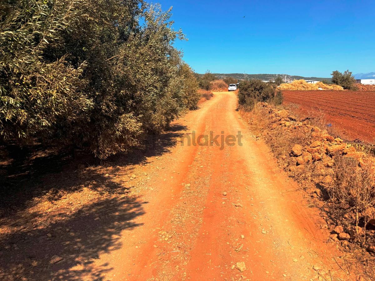 Antalya Havalimanı Yakını 318m2 İmarlı Problemsiz Satılık Arsa - 21