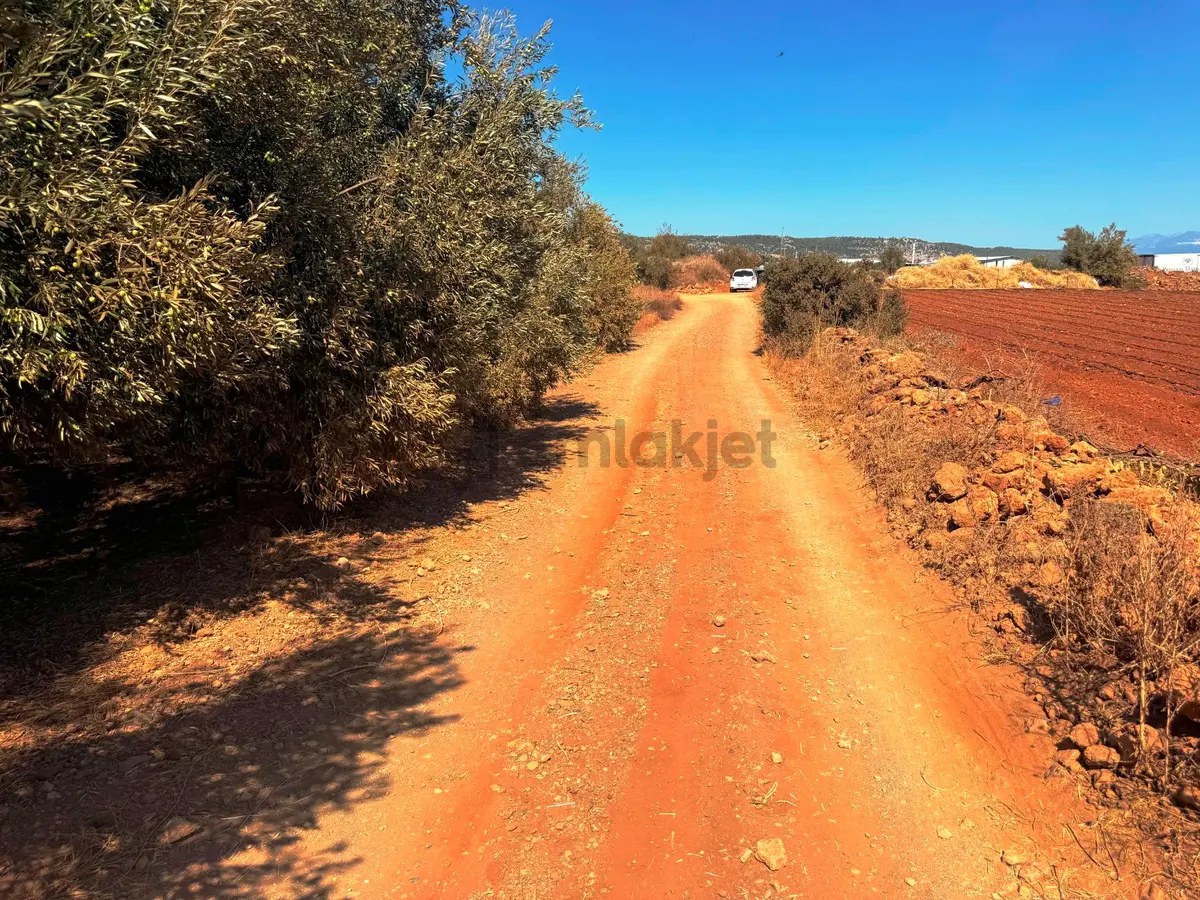Antalya Havalimanı Yakını 318m2 İmarlı Problemsiz Satılık Arsa - 6