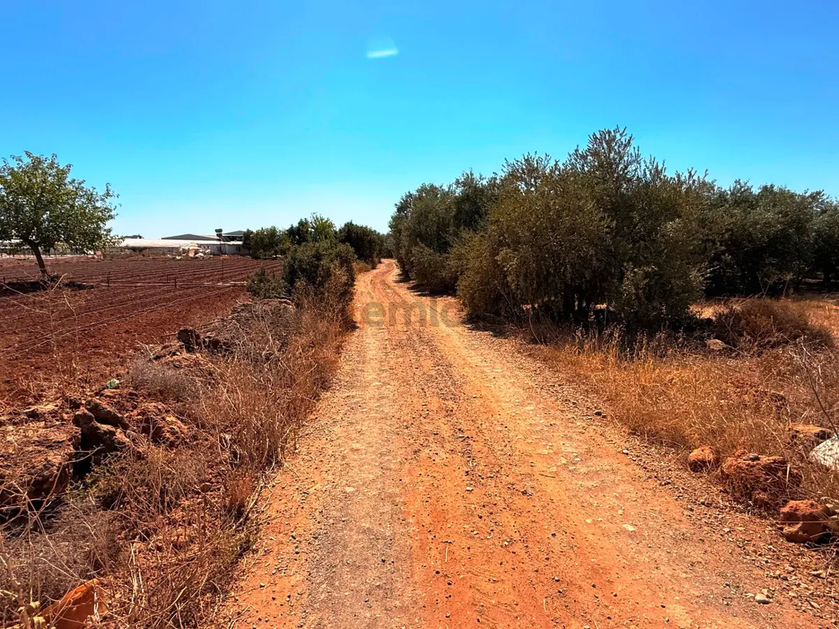 Antalya Havalimanı Yakını 318m2 İmarlı Problemsiz Satılık Arsa - 14