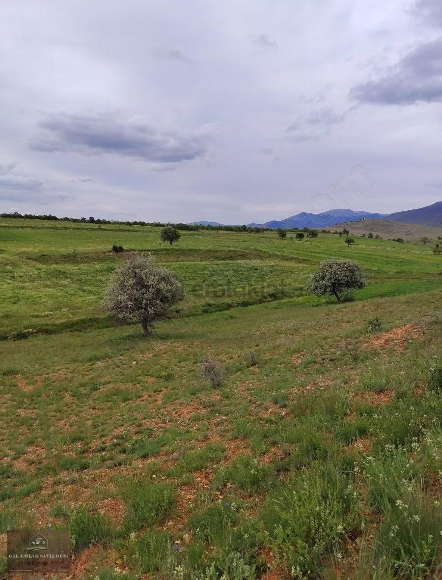 Konya Hüyük İlçesinde Güney Cepheli Satlık Arsa - 12