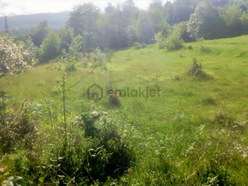 Yenikentte Satılık 1177 Metrekare Tarla - 6