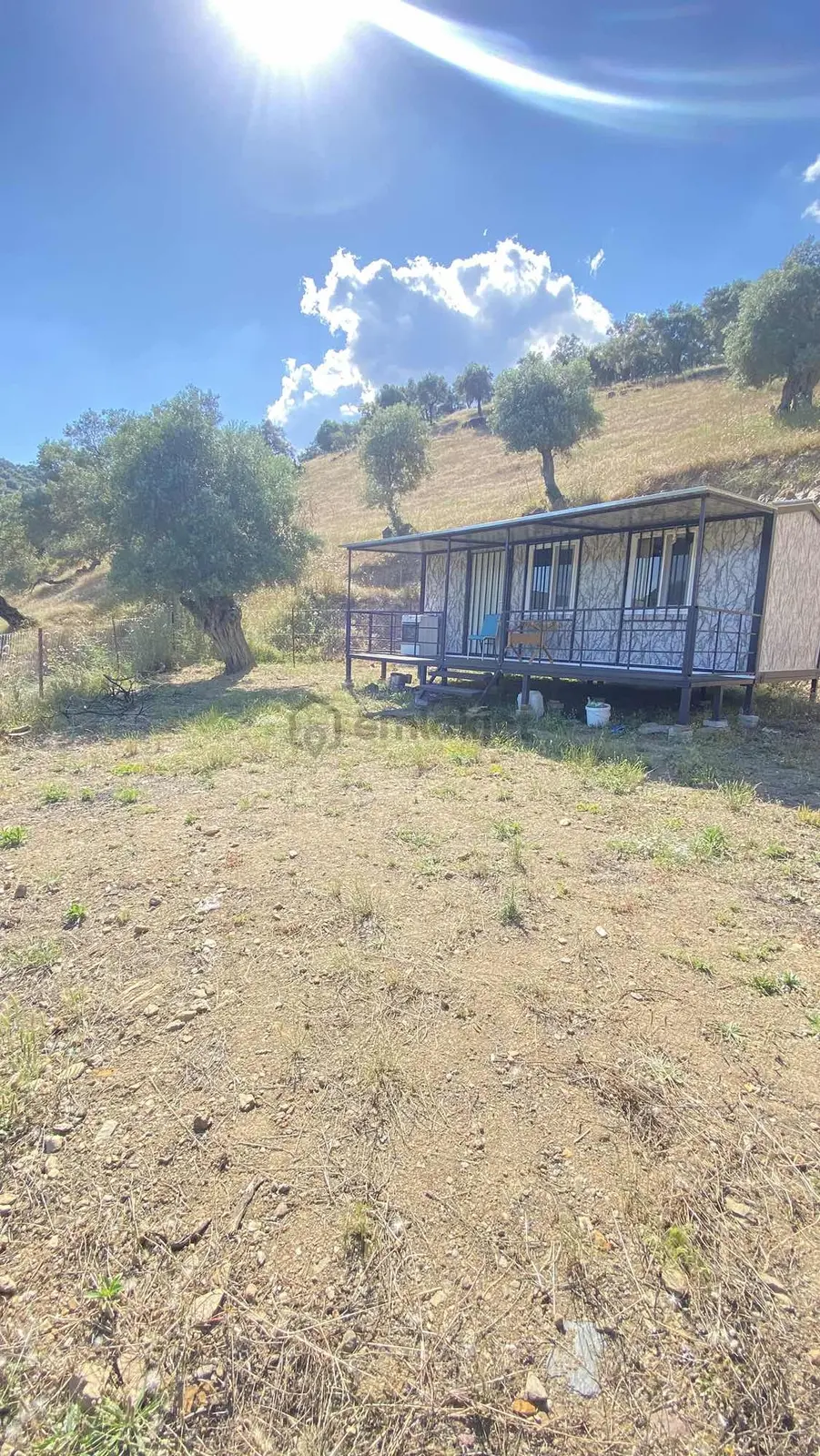 Satılık Tek Tapu Manzaralı Zeytinlik - 8